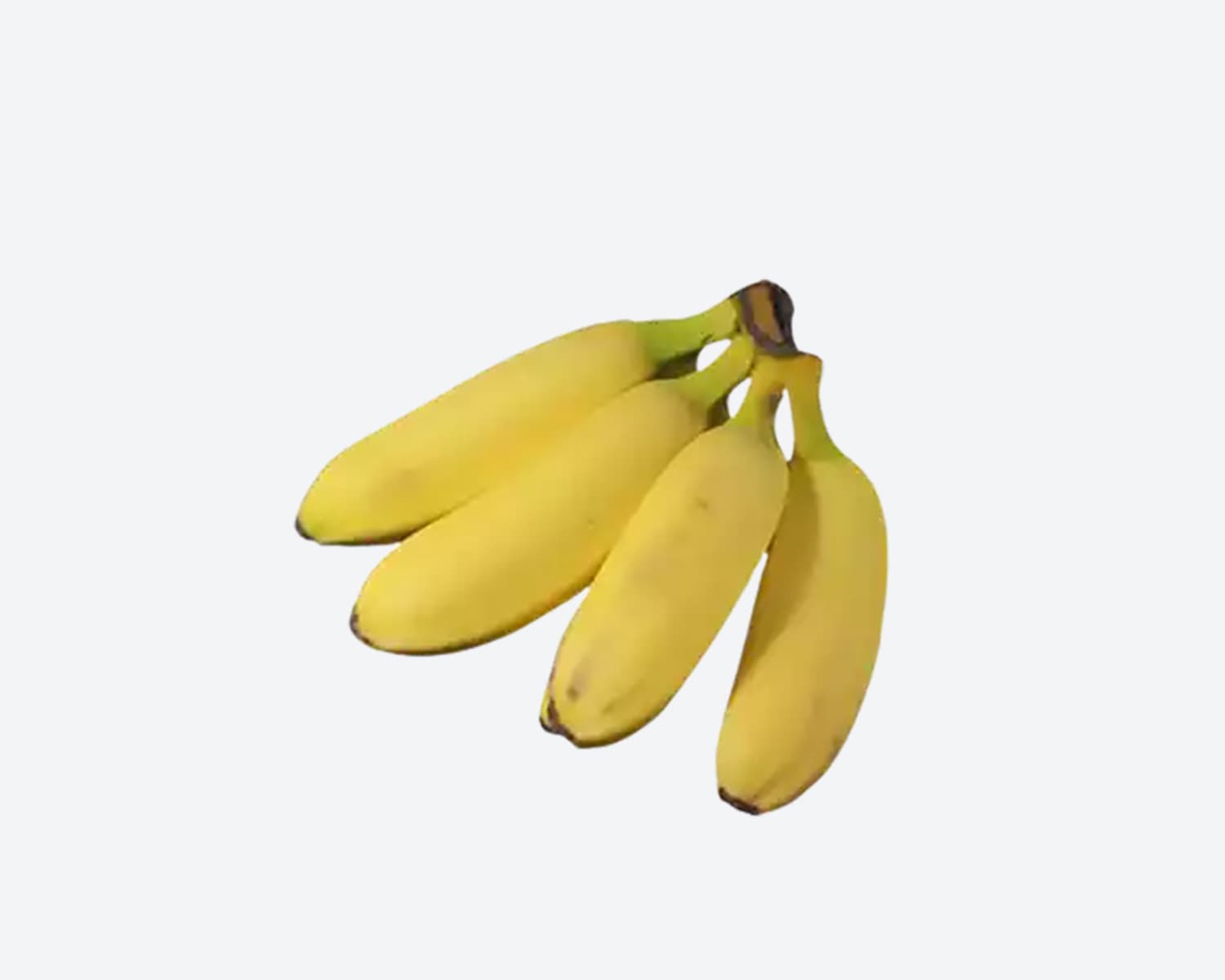 Banana Shagor Premium Pc