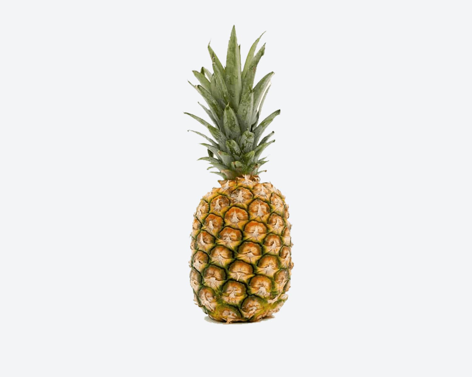 Banana Shagor Premium Pc