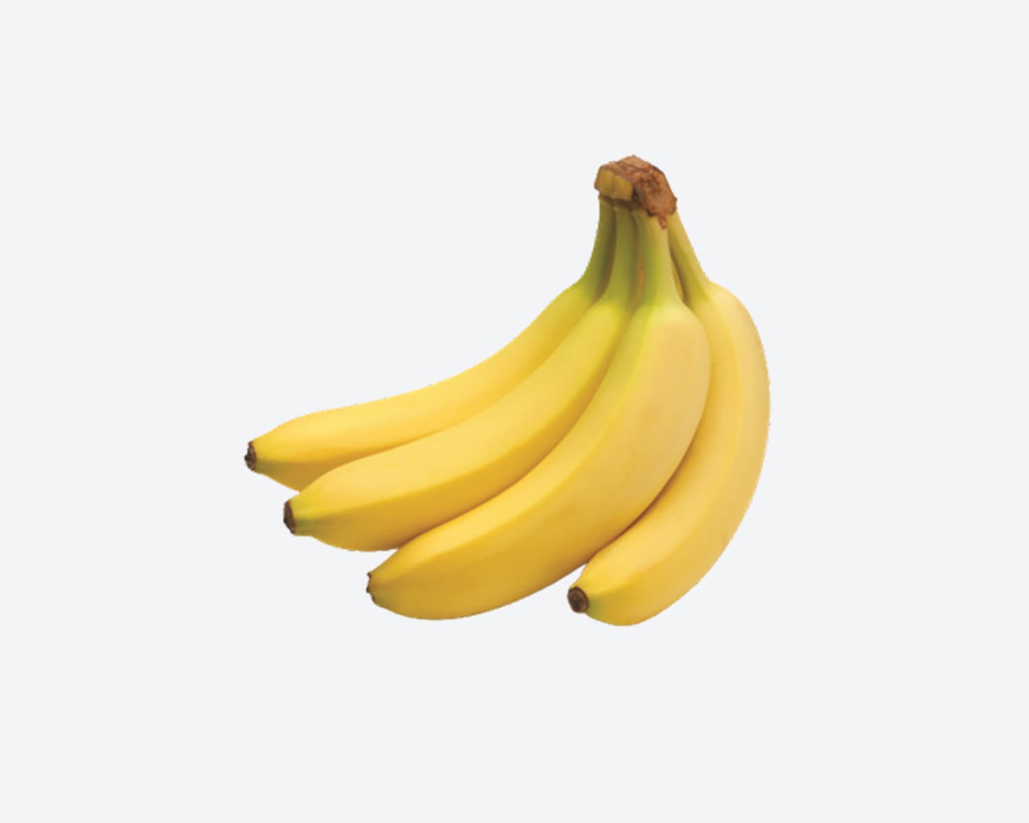 Banana Shagor Premium Pc